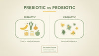 Prebiotic vs Probiotic: What Is the Difference?