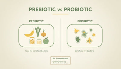 Prebiotic vs Probiotic: What Is the Difference?