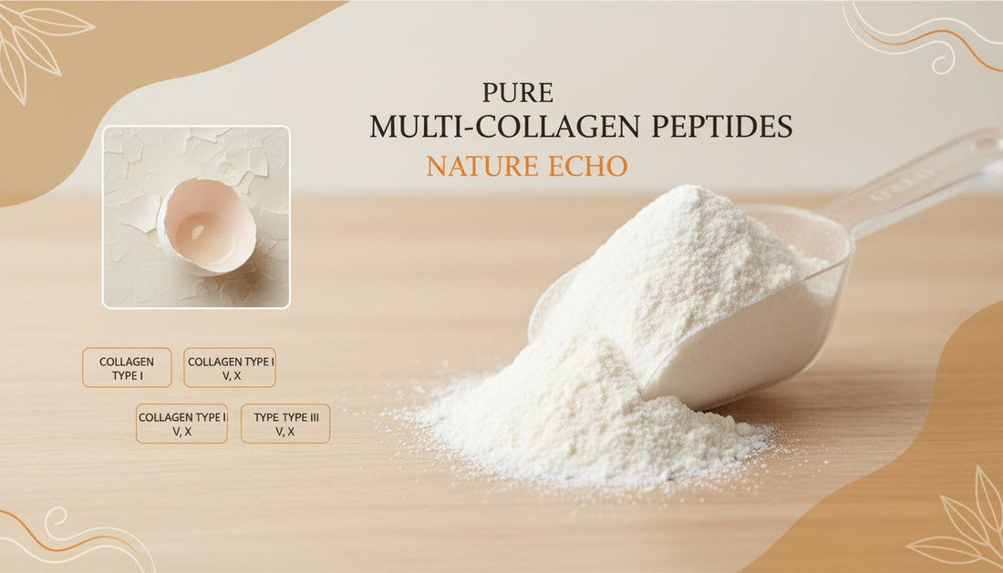 Eggshell Membrane in Multi-Collagen: Types V and X
