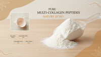 Eggshell Membrane in Multi-Collagen: Types V and X
