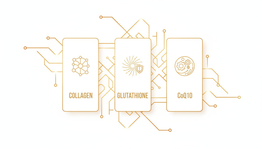 Collagen + Glutathione + CoQ10 Ingredient Map: Structure, Antioxidant and Cellular Energy Roles