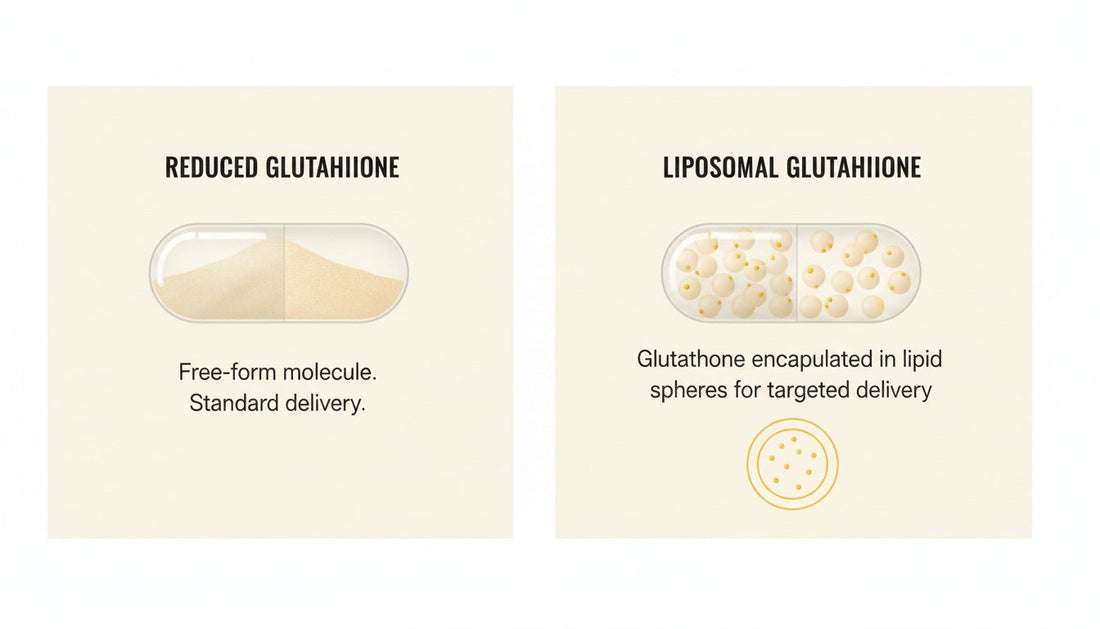 Liposomal vs Reduced Glutathione: Bioavailability Questions Consumers Should Ask
