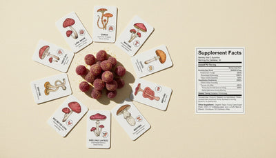 15 Functional Mushrooms in Gummies: Ingredient Roles Without Immune-Booster Claims