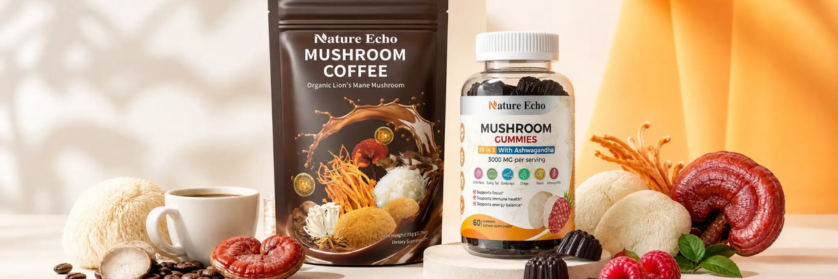 Mushroom & Focus