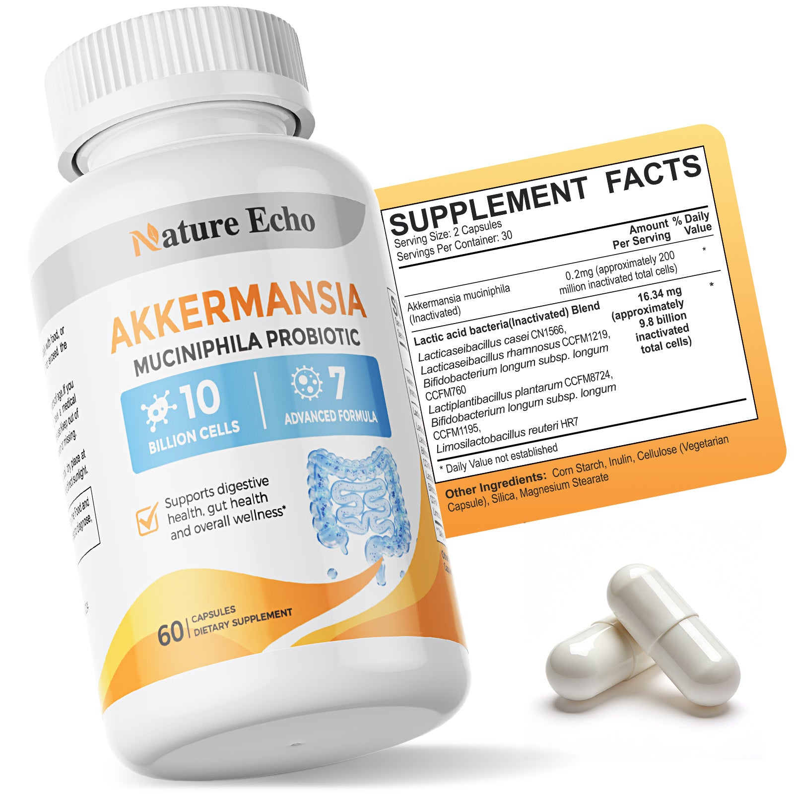 Akkermansia Probiotic Capsules — 10 Billion Cells | 7-in-1 Synbiotic Formula