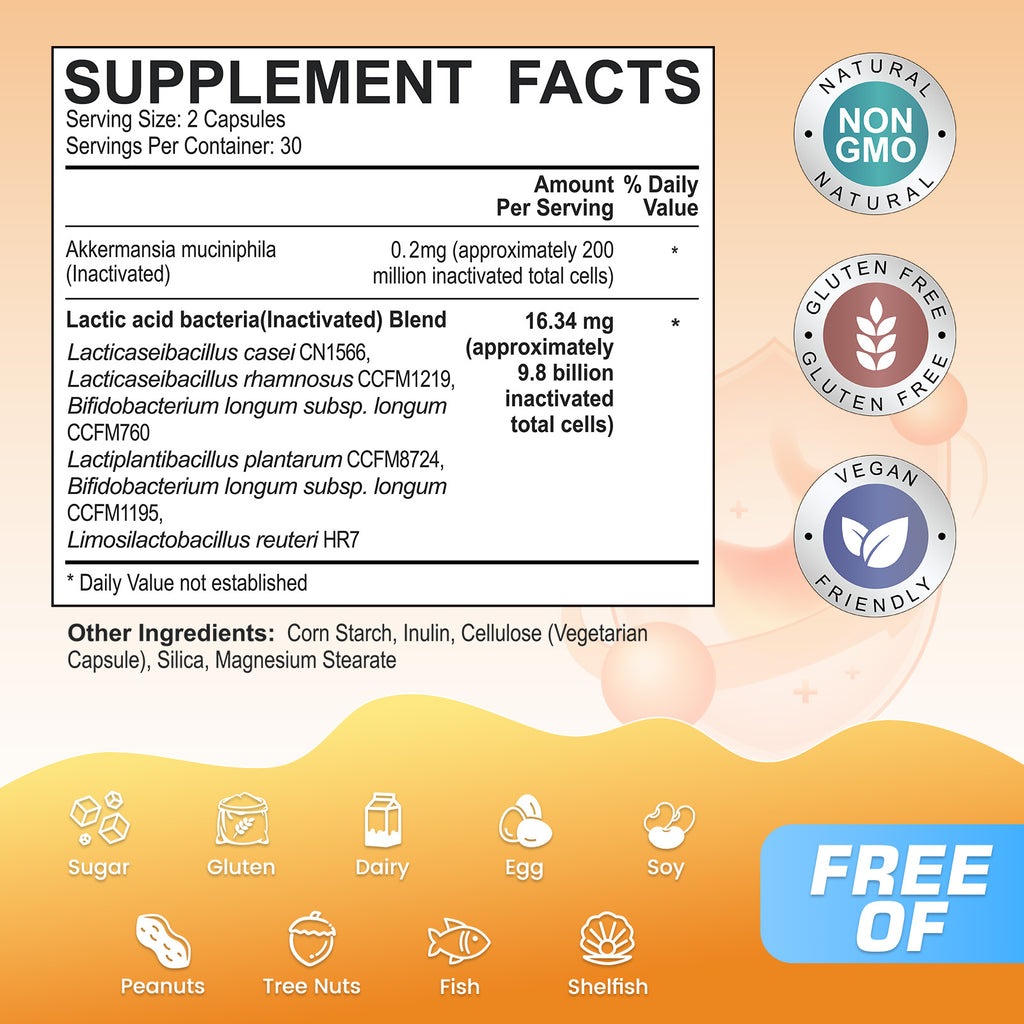 Akkermansia Probiotic Capsules — 10 Billion Cells | 7-in-1 Synbiotic Formula