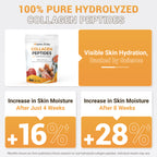 Collagen & Multivitamins Powder — Types I–V with Hyaluronic Acid & Biotin