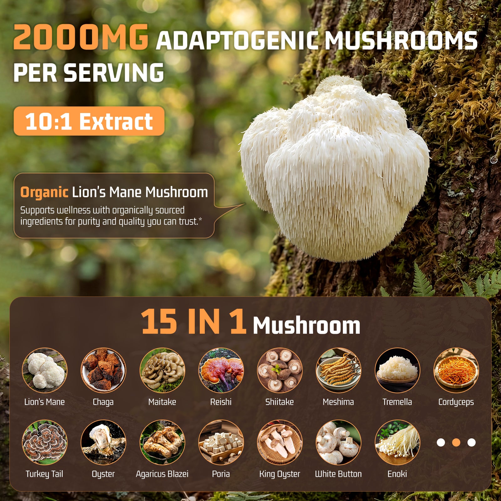 Mushroom Coffee 15 in 1 Mushrooms with Ashwagandha
