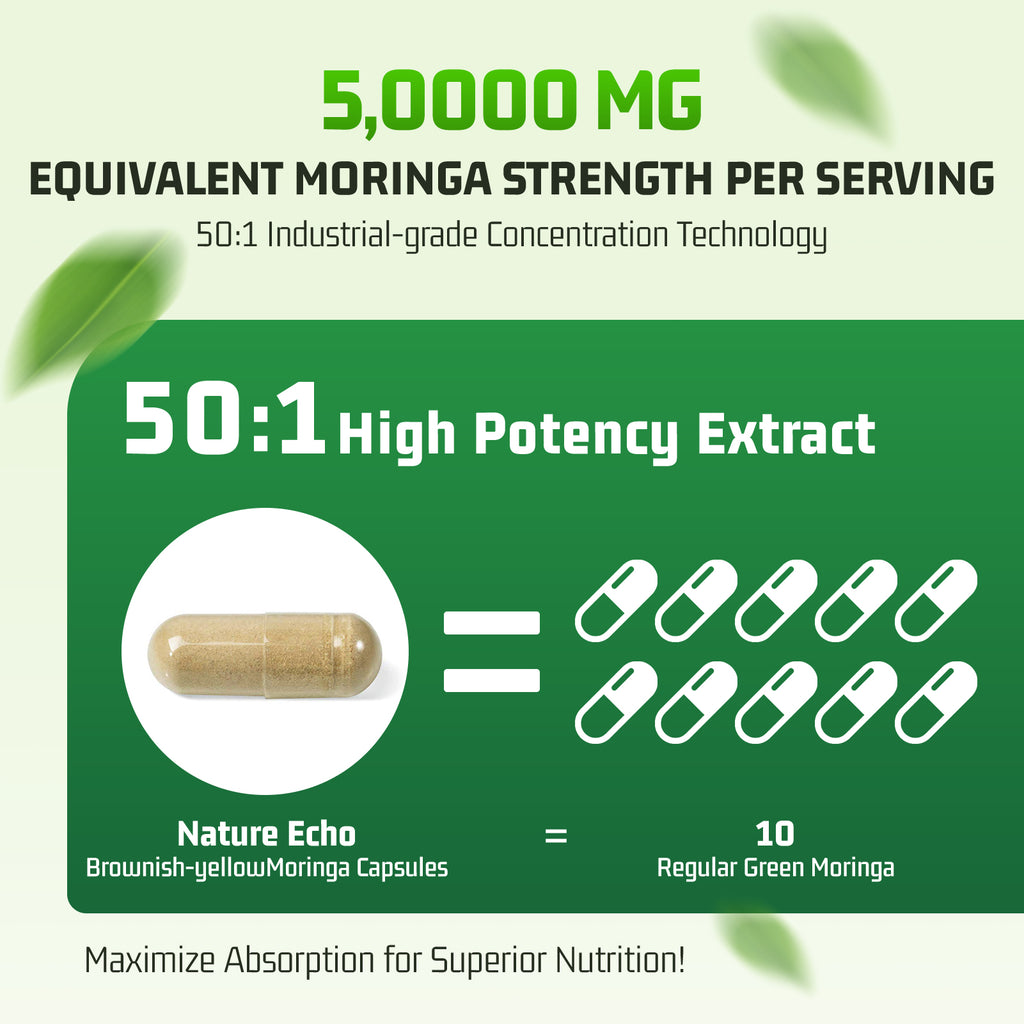 Moringa Extract Capsules — 1,000mg Per Serving
