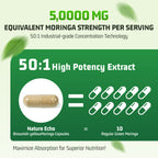 Moringa Extract Capsules — 1,000mg Per Serving