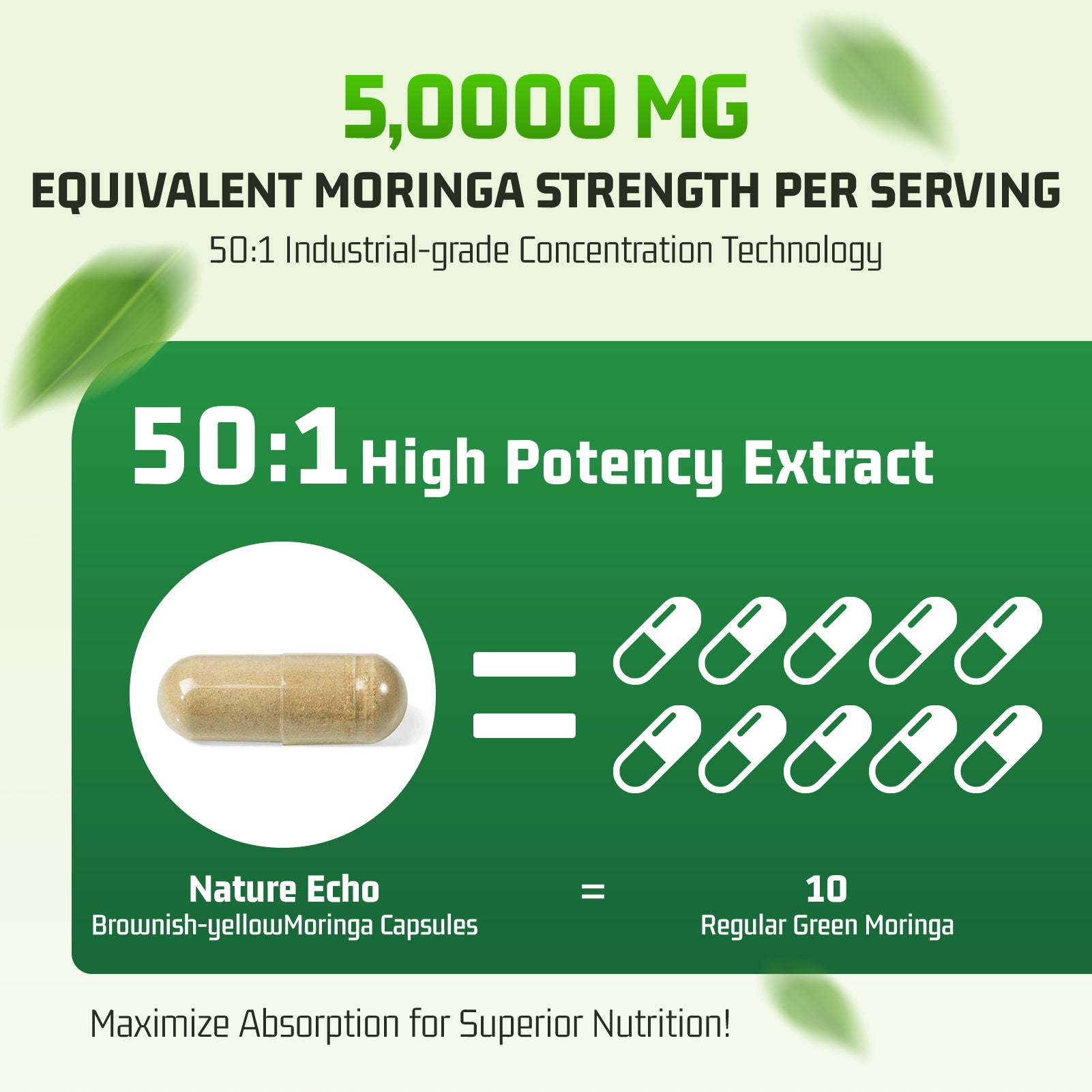 Moringa Extract Capsules — 1,000mg Per Serving