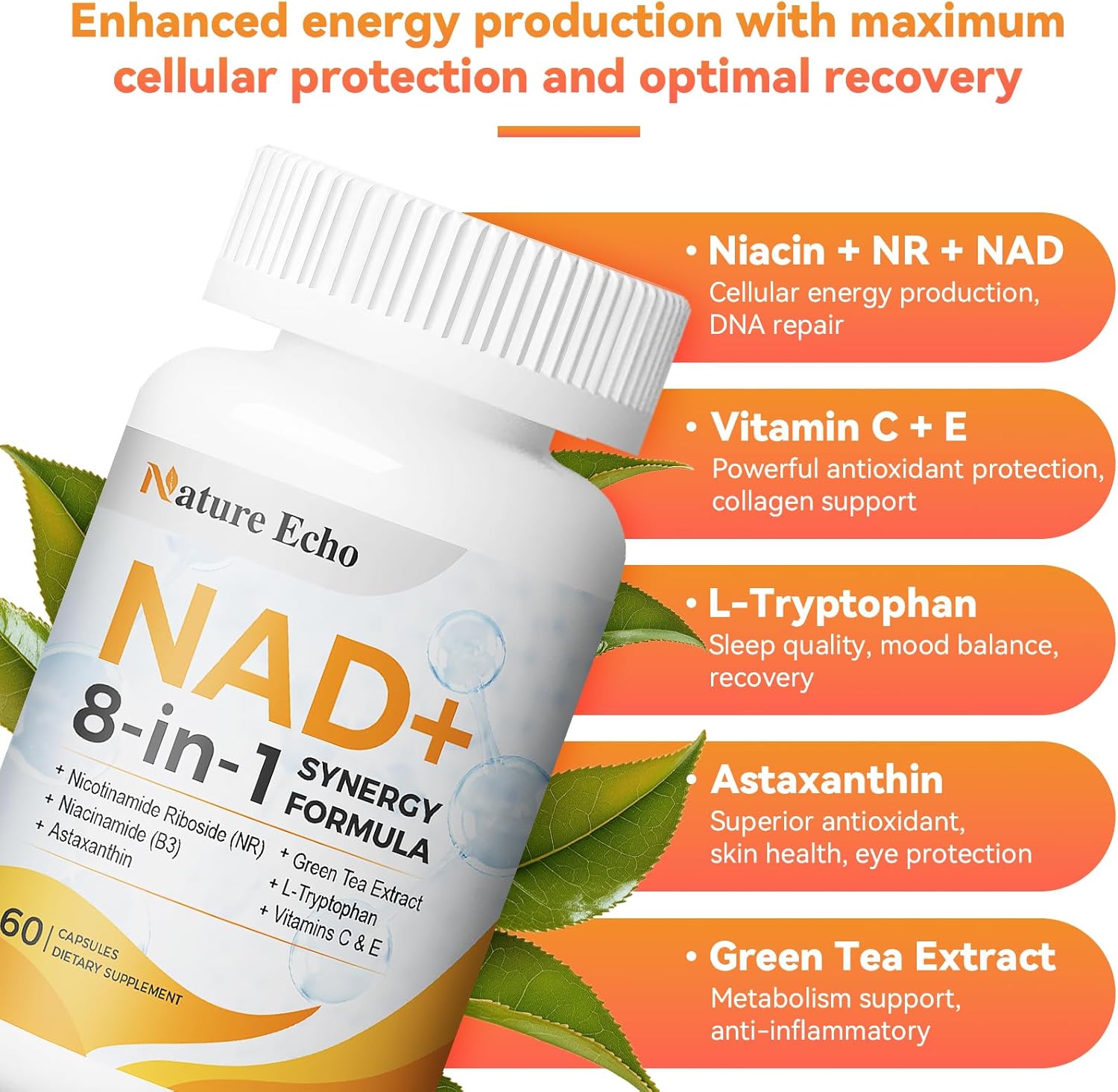 NAD+ Supplement
