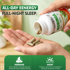 Moringa Extract Capsules — 1,000mg Per Serving