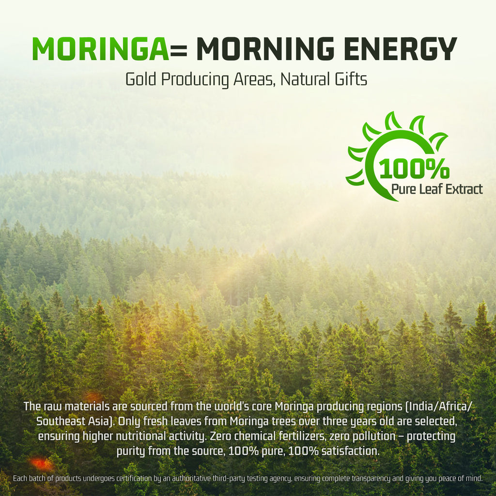 Moringa Extract Capsules — 1,000mg Per Serving