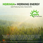 Moringa Extract Capsules — 1,000mg Per Serving