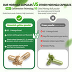 Moringa Extract Capsules — 1,000mg Per Serving