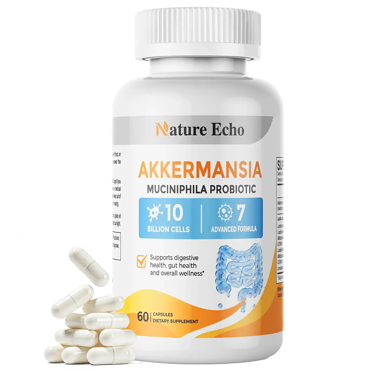 Akkermansia Probiotic Capsules — 10 Billion Cells | 7-in-1 Synbiotic Formula