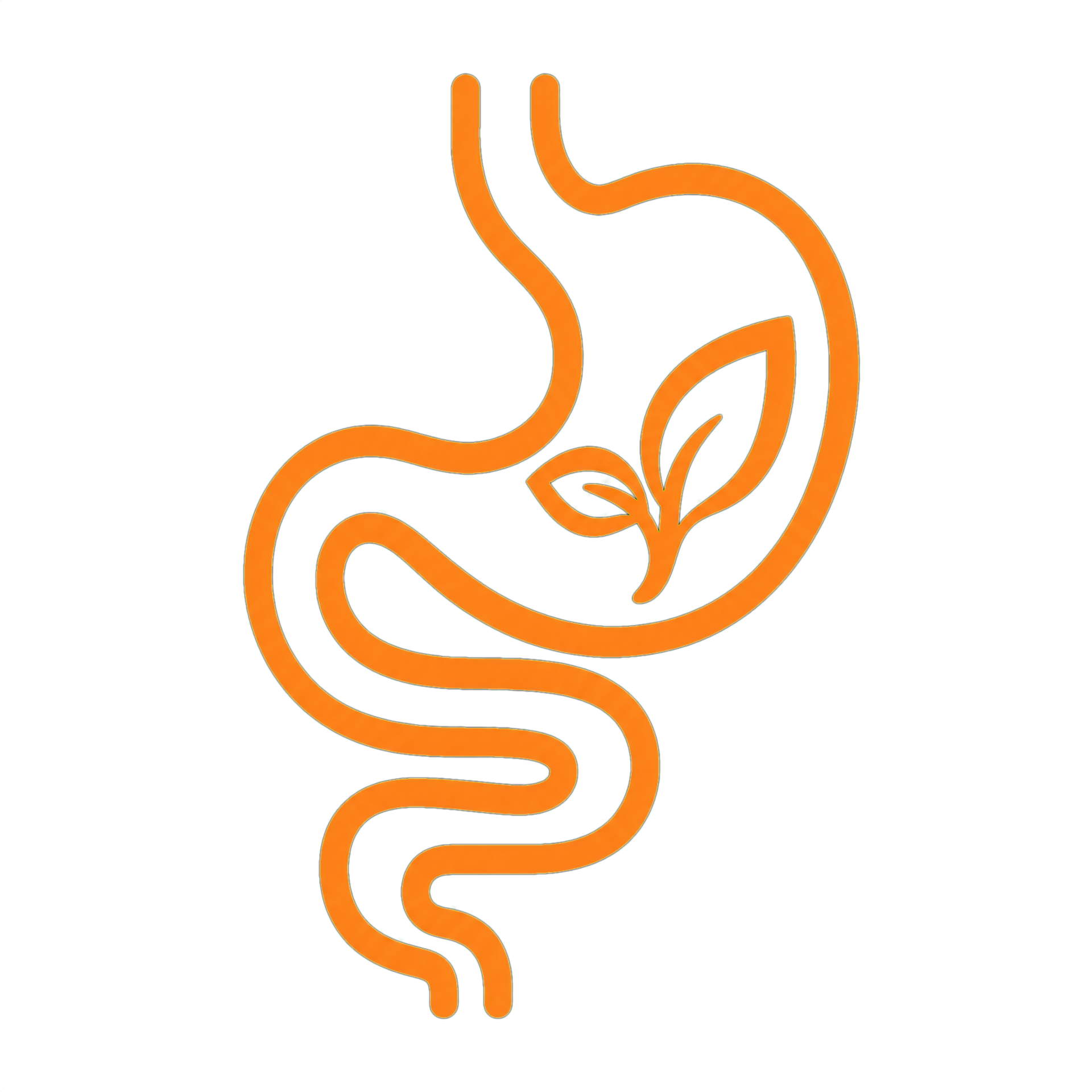 Gut Barrier Support icon