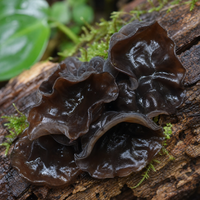 Black wood ear