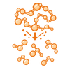 Hydrolyzed Peptides