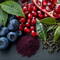 Antioxidant Protection