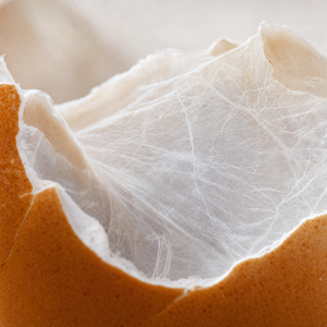 Soluble Egg Membrane Collagen