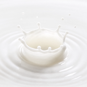 Hydrolyzed Bovine Collagen Peptide