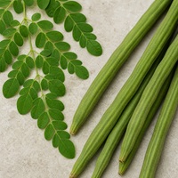 Moringa Leaf